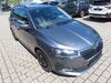 Skoda Fabia walhausen