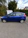 Ford Fiesta harzungen