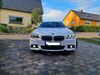 BMW 530 muenster-sarmsheim