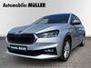 Skoda Fabia schmerkendorf