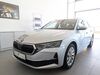 Skoda Octavia pahlsdorf
