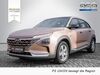 Hyundai NEXO juetrichau
