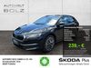 Skoda Octavia hoehr-grenzhausen
