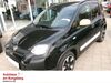 Fiat New Panda suedergellersen