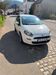 Fiat Punto Evo walhausen