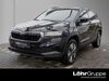 Skoda Karoq meinborn