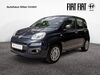 Fiat Panda rehlingen