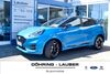 Ford Puma bueddenstedt