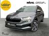 Skoda Karoq ober-hilbersheim