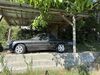 Alfa Romeo Spider kuehbach