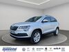 Skoda Karoq engerda