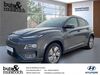 Hyundai KONA Elektro walhausen