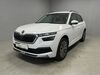 Skoda Kamiq Laucha an der Unstrut
