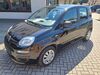 Fiat Panda fredersdorf-vogelsdorf