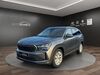Skoda Kodiaq fuenfstetten