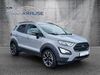 Ford EcoSport schmerkendorf
