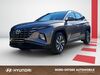 Hyundai TUCSON suedergellersen