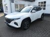 Hyundai TUCSON suedergellersen