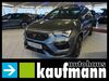 Cupra Ateca krauchenwies
