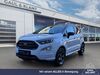 Ford EcoSport dankmarshausen
