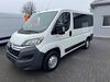 Citroen Jumper woelferbuett