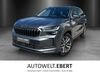 Skoda Kodiaq ober-hilbersheim