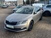 Skoda Octavia picher