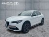 Alfa Romeo Stelvio geisenfeld