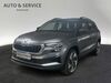 Skoda Karoq geisenfeld