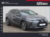 Lexus UX geisenfeld
