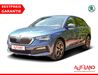 Skoda Scala kreis|suedliche-weinstrasse