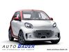 Smart ForTwo geisenfeld