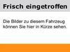 Renault Scenic ehringshausen