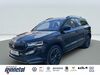 Skoda Karoq engerda