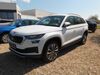 Skoda Kodiaq bueddenstedt