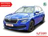 Skoda Kamiq muehlstedt