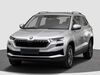 Skoda Karoq kreis|rottal-inn