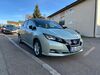 Nissan Leaf Saalow