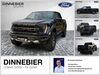 Ford F 150 wattmannshagen