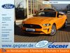 Ford Mustang kreis|suedliche-weinstrasse