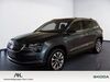Skoda Karoq bueddenstedt