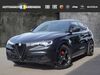 Alfa Romeo Stelvio Heupelzen