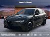 Alfa Romeo Stelvio niederduerenbach