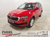 Skoda Karoq kreis|tuebingen