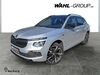 Skoda Kamiq ober-hilbersheim