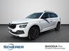 Skoda Kamiq ober-hilbersheim