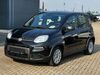 Fiat Panda walhausen