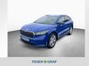 Skoda Enyaq kuehbach