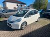 Honda Jazz nieder-olm