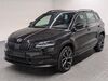 Skoda Karoq bueddenstedt